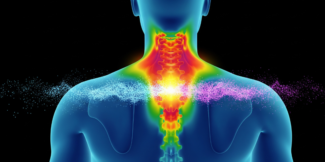 Aktivacijom braon masti, vi praktično uključujete 'termostat' svog tela na višu temperaturu. “Mapa tela” koja prikazuje kako hladnoća i vežbanje stimulišu zone braon masti oko vrata i ramena.