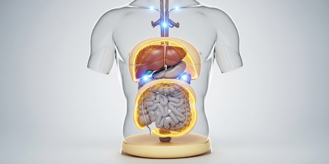 Medicinska ilustracija koja prikazuje tri tipa masnog tkiva na ljudskoj silueti: potkožno, visceralno i braon.