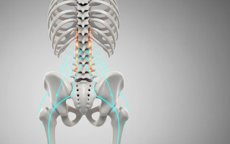 Bol u Donjem Delu Leđa: Kako Kinetički Lanac Uzrokuje Problem i Kako Ga Rešiti