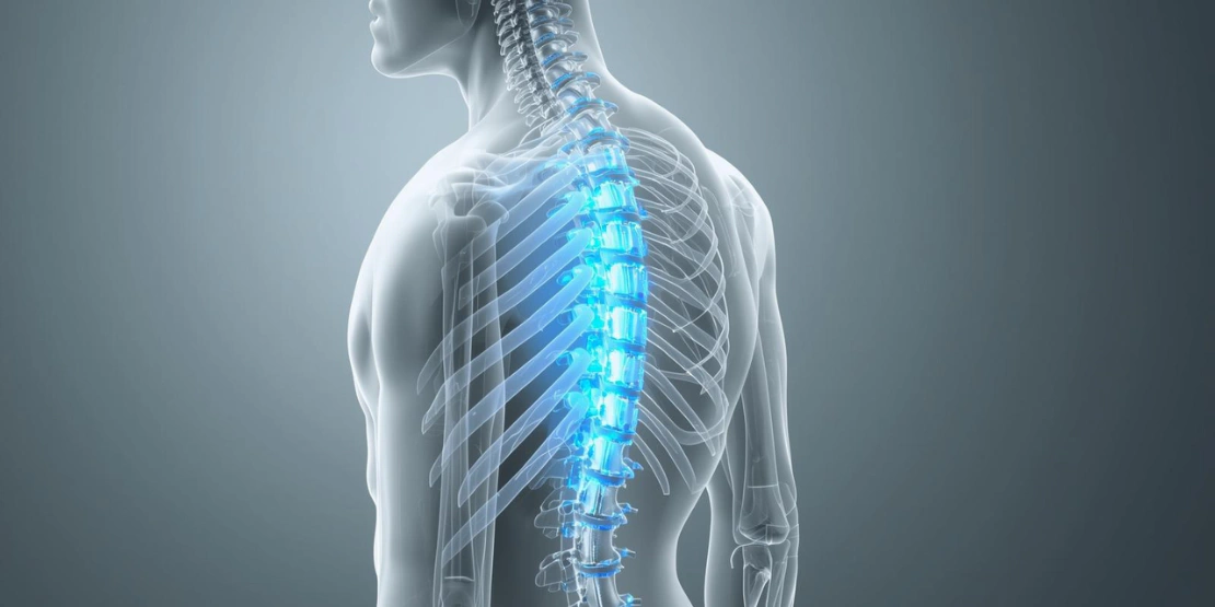 3D medicinski prikaz kičmenog stuba sa naglašenim torakalnim delom u ekstenziji, prikazujući oslobađanje pritiska na diskove.
